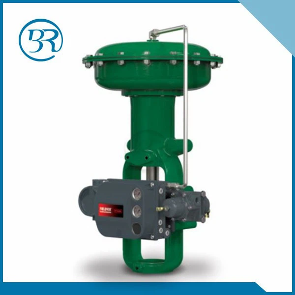 Pohon Fisher 655